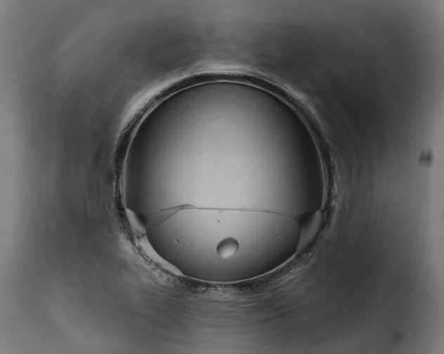 X0000115651319200911241725