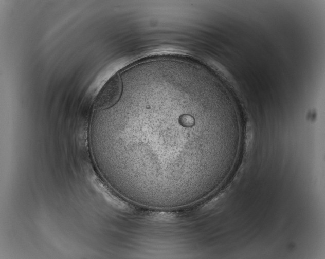 X0000115651321200911241725