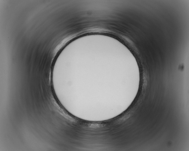 X0000115651322200911241725