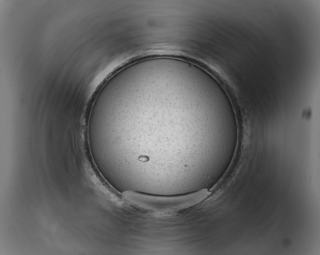 X0000115651325200911241725