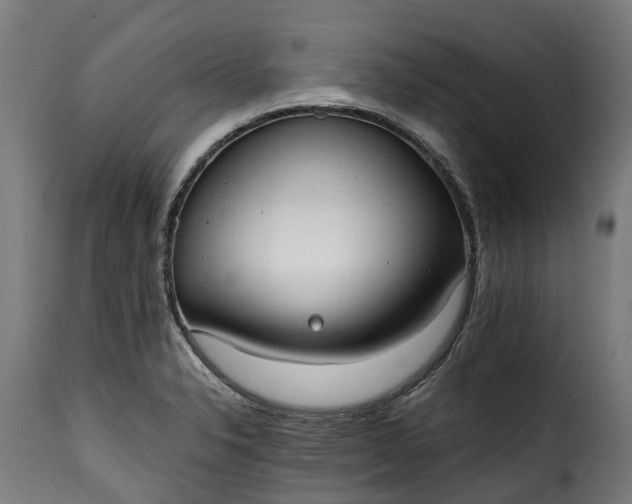 X0000115651326200911241725