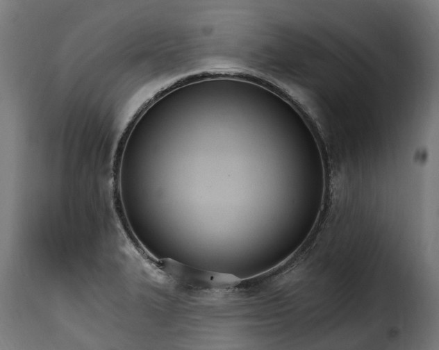 X0000115651327200911241725