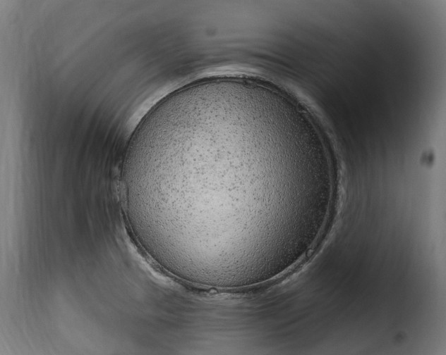 X0000115651329200911241725