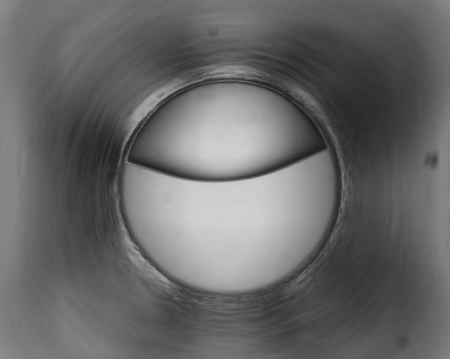 X0000115651330200911241725