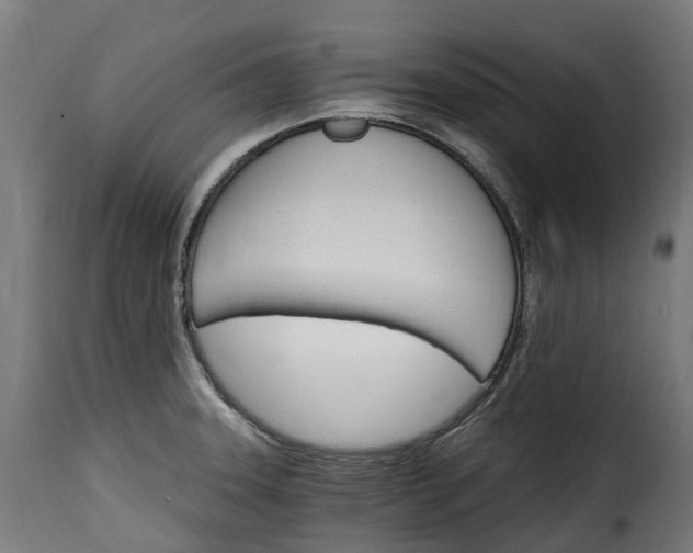 X0000115651331200911241725