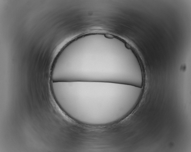 X0000115651333200911241725