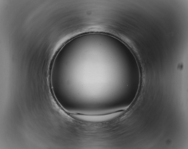 X0000115651334200911241725