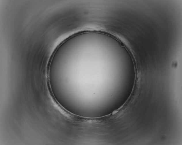 X0000115651335200911241725