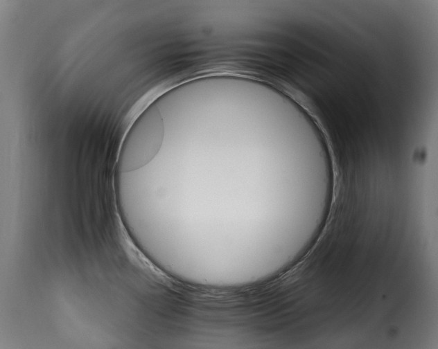 X0000115651338200911241725