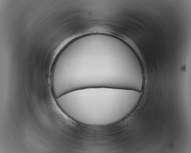 X0000115651339200911241725