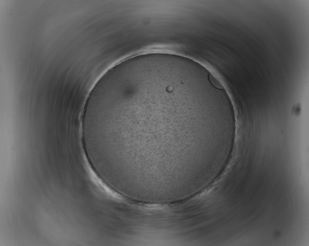 X0000115651341200911241725