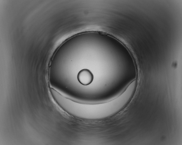 X0000115651342200911241725