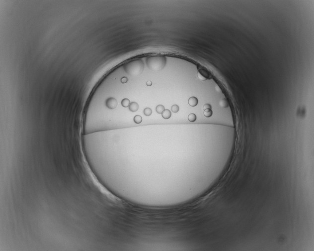 X0000115651343200911241725