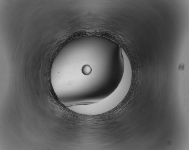 X0000115651345200911241725