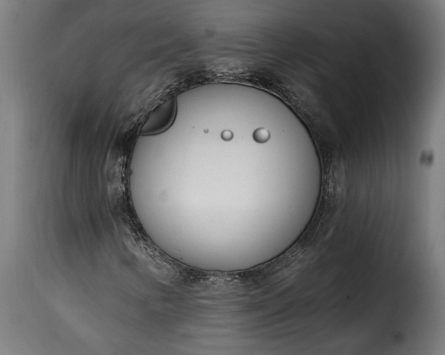 X0000115651346200911241725