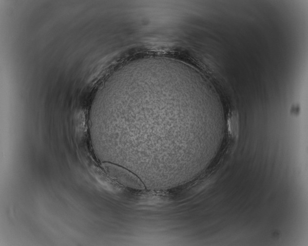 X0000115651347200911241725