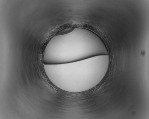 X0000115651348200911241725