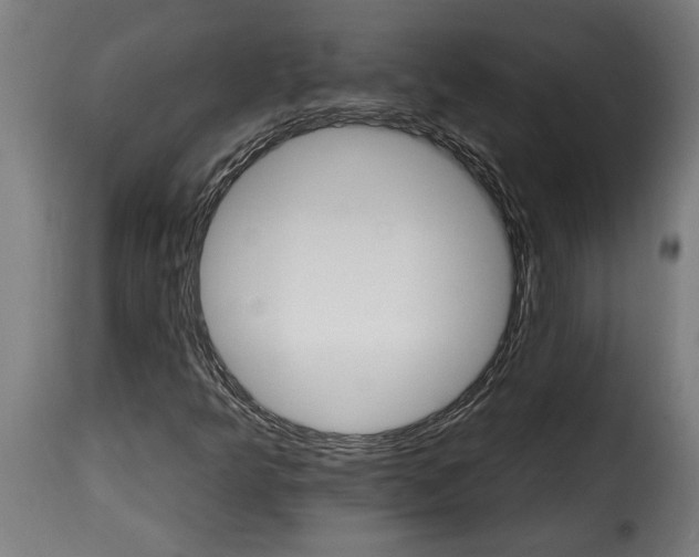 X0000115651349200911241725