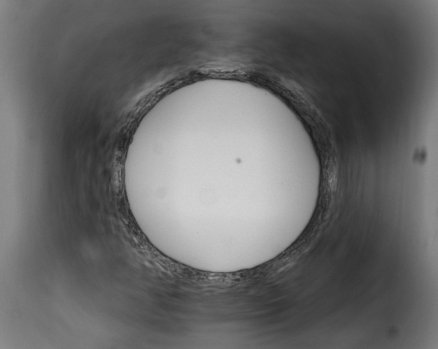 X0000115651350200911241725