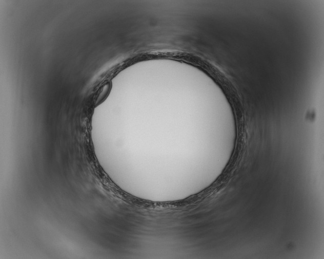 X0000115651351200911241725