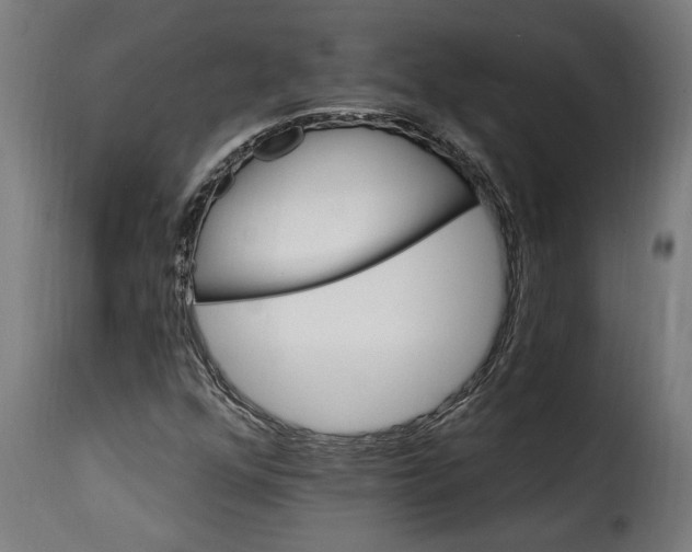 X0000115651352200911241725