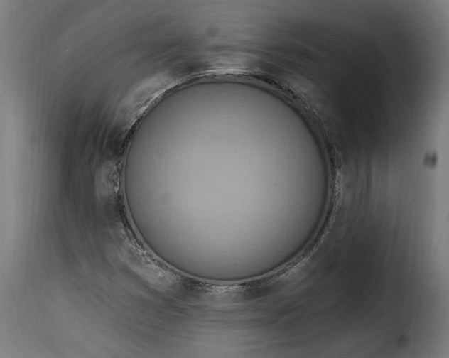 X0000115651353200911241725