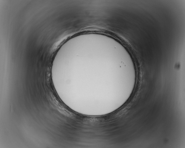 X0000115651355200911241725