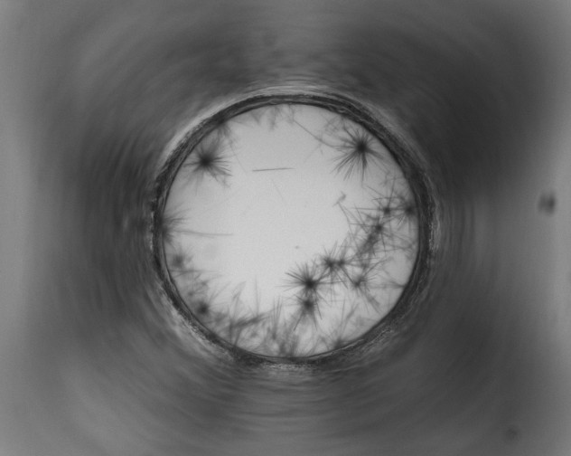 X0000115651356200911241725