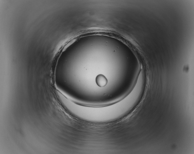 X0000115651357200911241725