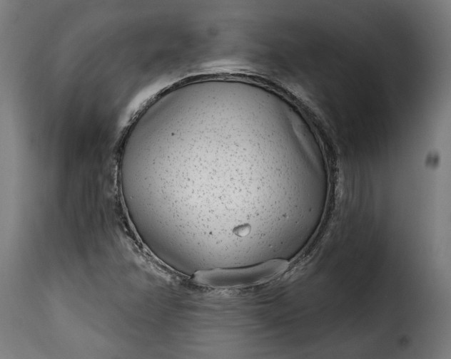 X0000115651358200911241725