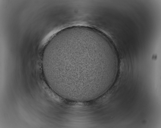 X0000115651359200911241725