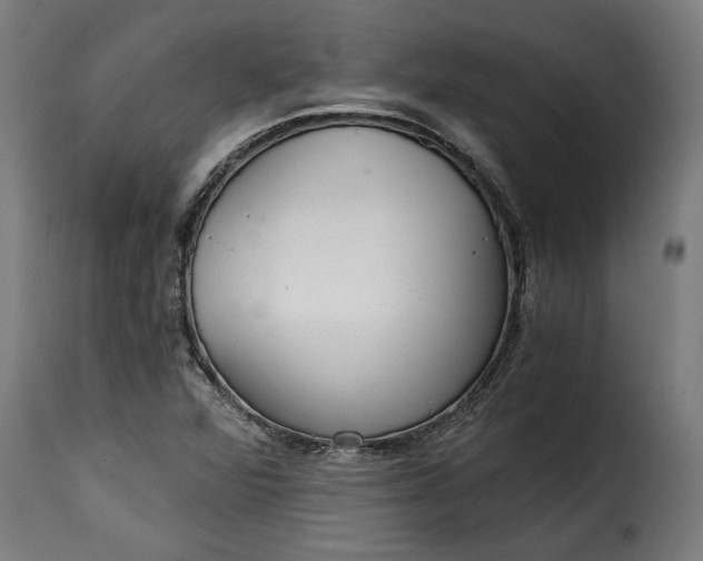 X0000115651360200911241725