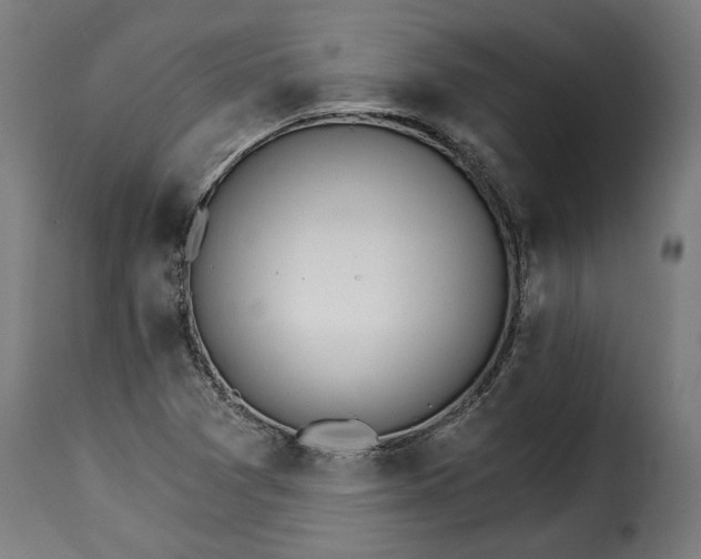 X0000115651361200911241725