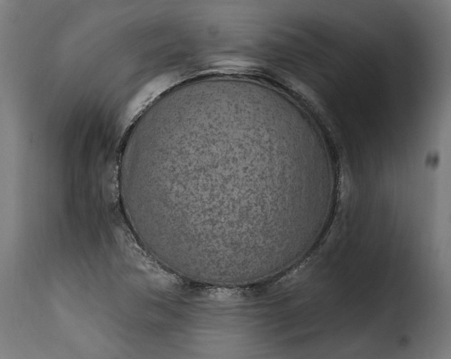 X0000115651362200911241725