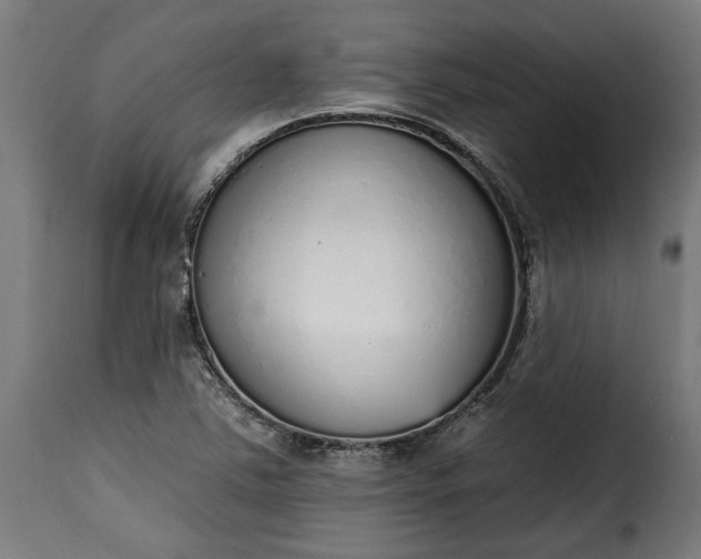 X0000115651363200911241725