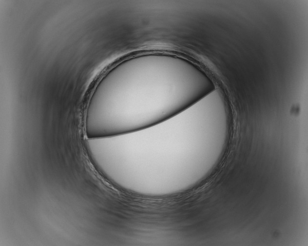 X0000115651364200911241725