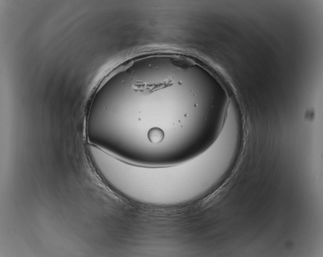 X0000115651365200911241724