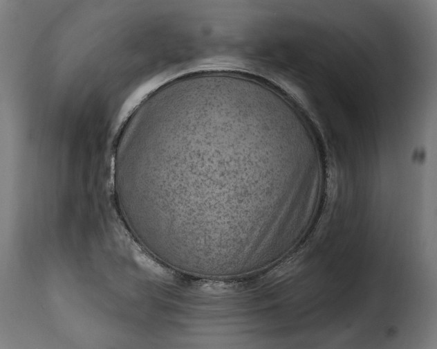 X0000115651366200911241724