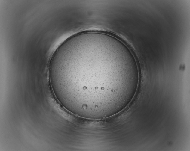 X0000115651367200911241724