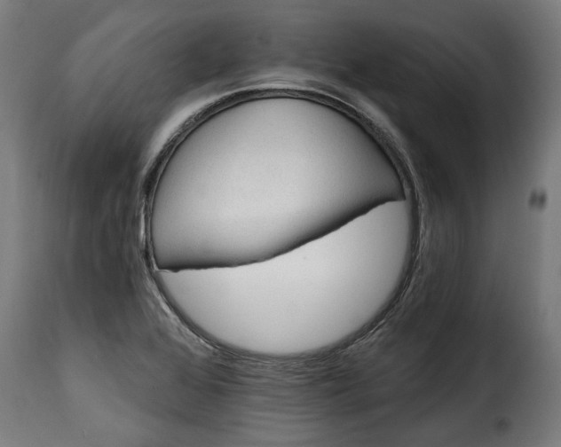 X0000115651368200911241724