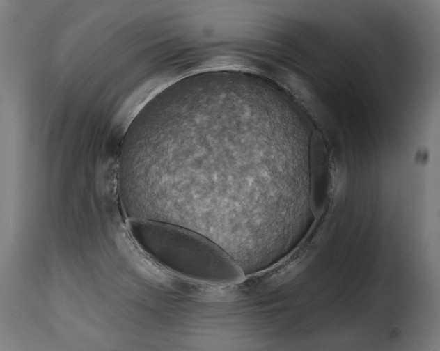 X0000115651369200911241724