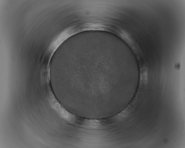 X0000115651370200911241724