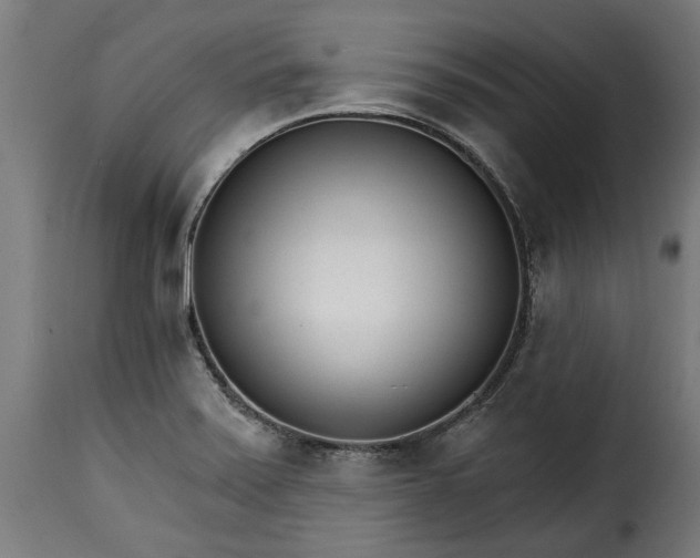 X0000115651371200911241724