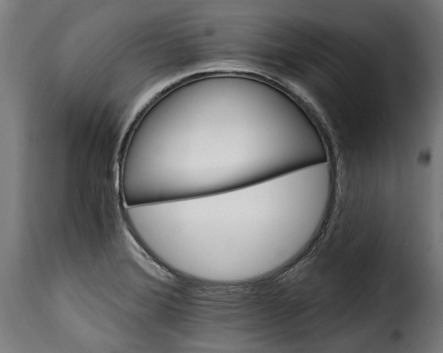 X0000115651372200911241724