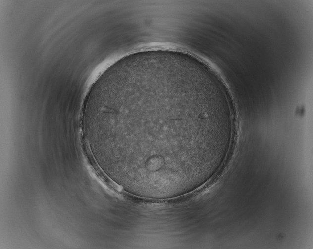 X0000115651373200911241724