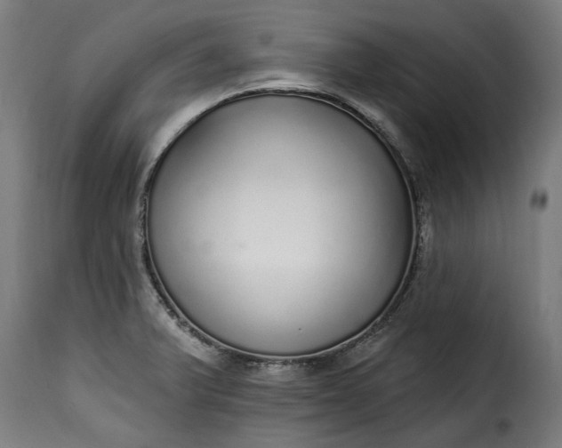 X0000115651375200911241724