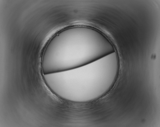 X0000115651376200911241724