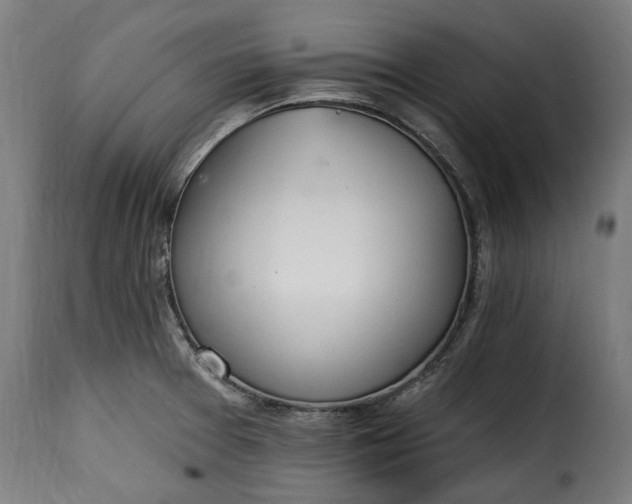 X0000115651377200911241724