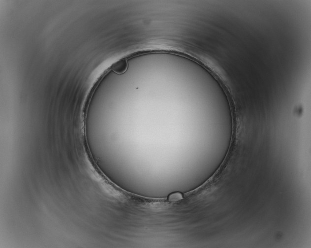 X0000115651380200911241724