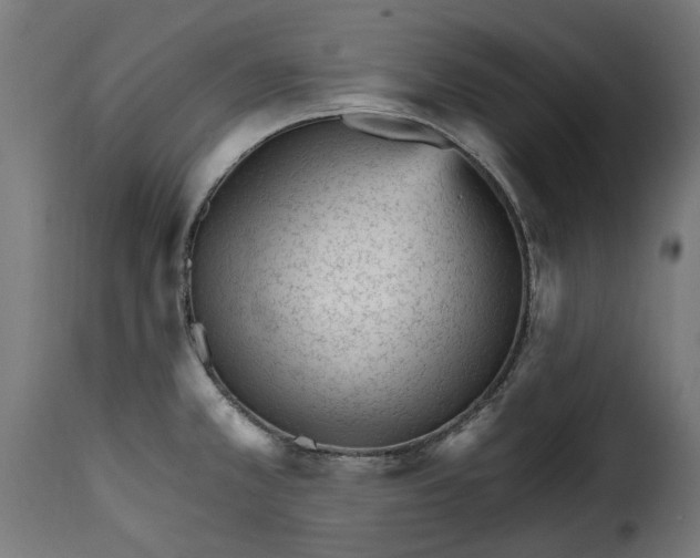 X0000115651381200911241724